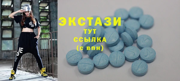 молекула духа Богданович