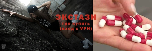 молекула духа Богданович