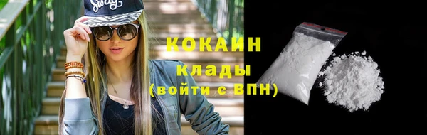 молекула духа Богданович