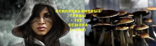 мескалин Богородицк