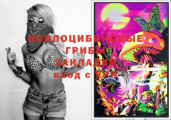 мескалин Богородицк