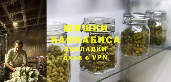 молекула духа Богданович