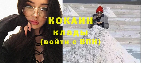 молекула духа Богданович
